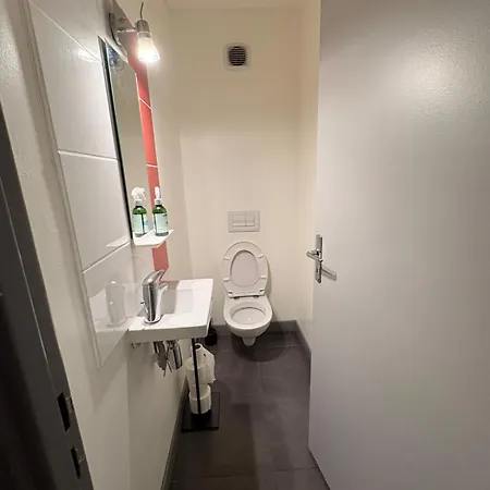 6p Pied Des Pistes Et Commerces Appartement